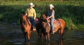 Promenade et traversée de la rivière en cheval