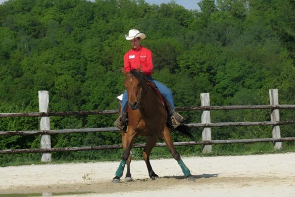 Moniteur équitation stage à la demande Bosc-Renoult-en-Ouche Moniteur équitation stage à la demande Bosc-Renoult-en-Ouche