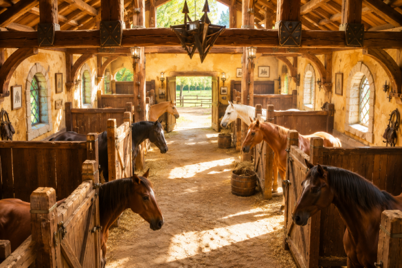 Éleveur chevaux Bosc-Renoult-en-Ouche
