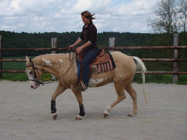 Titi pendant sa formation BPJEPS Western au  Top Ten Ranch