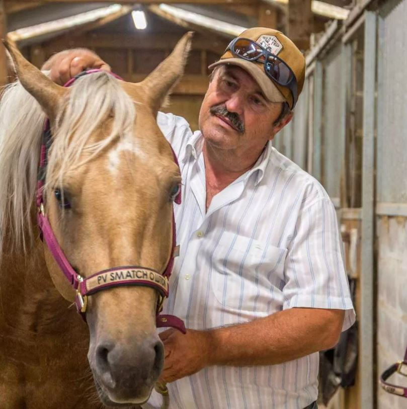 Top Ten Ranch Quarter Horse